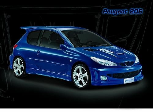 Бампер передний "WRC Style" Peugeot 206 купить в интернет-магазине tuning63