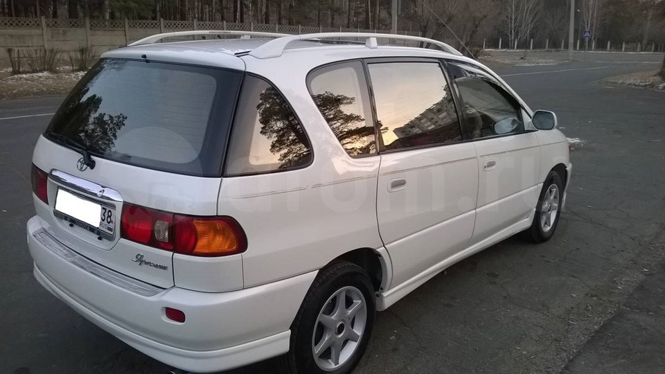 Купить Ипсум 10 В Иркутске